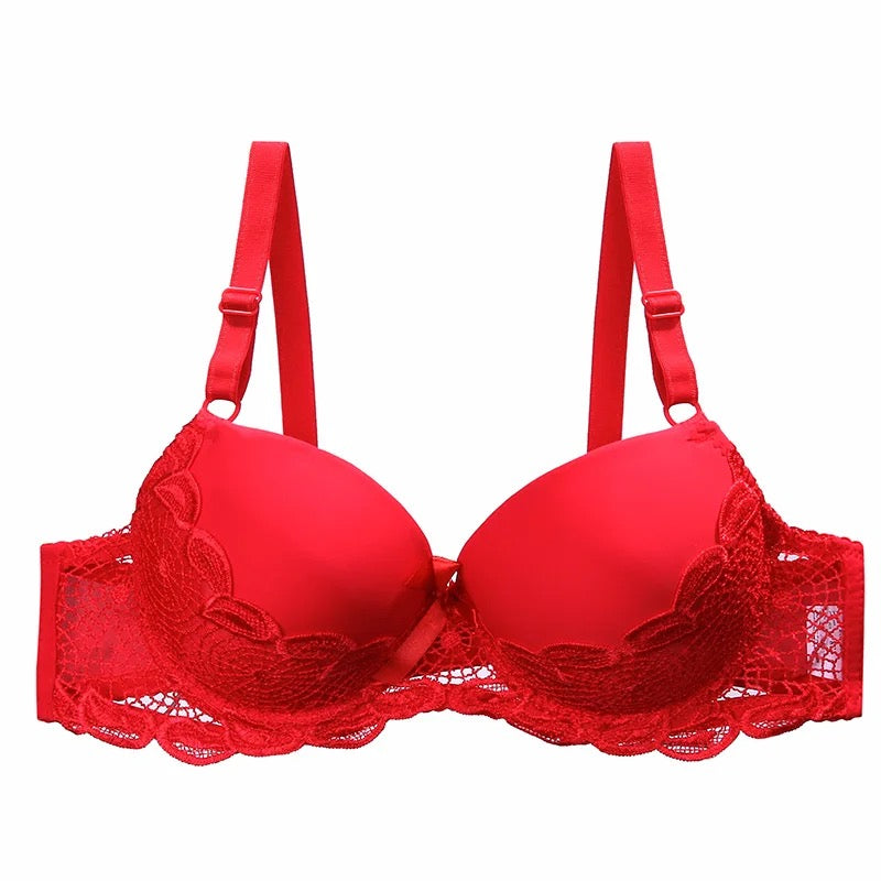 Basic Lace Wired Pushup Bra