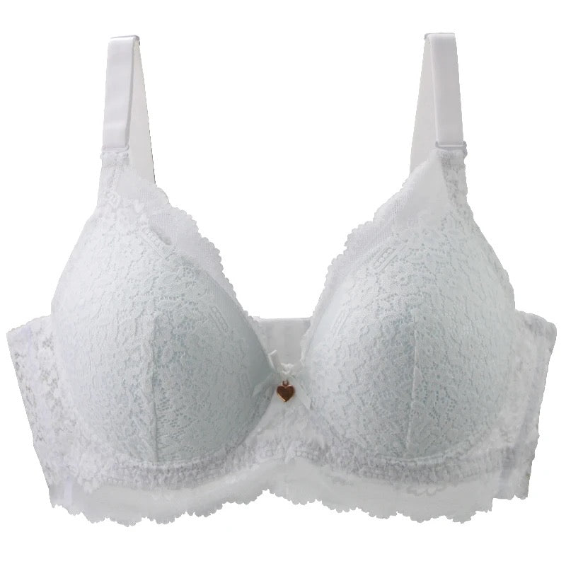 Pushup Bra D Cup Plus Size Bra