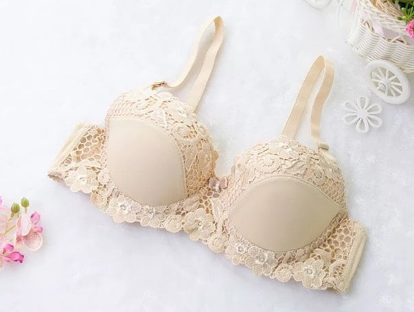 Lacy Pushup Bra