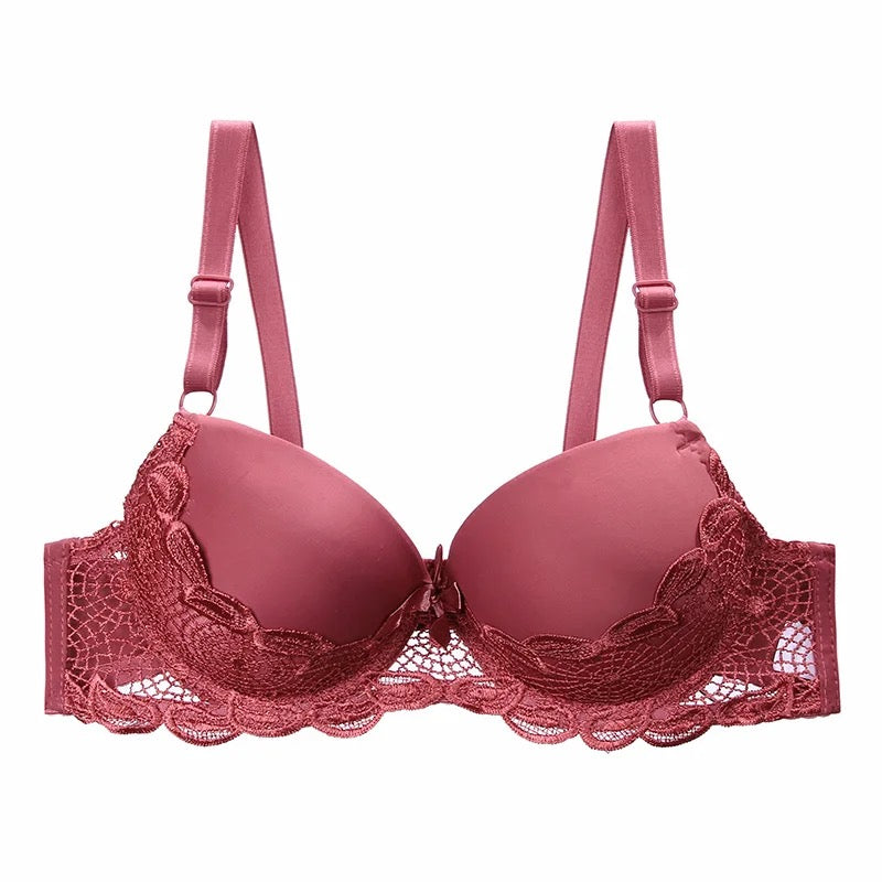 Basic Lace Wired Pushup Bra