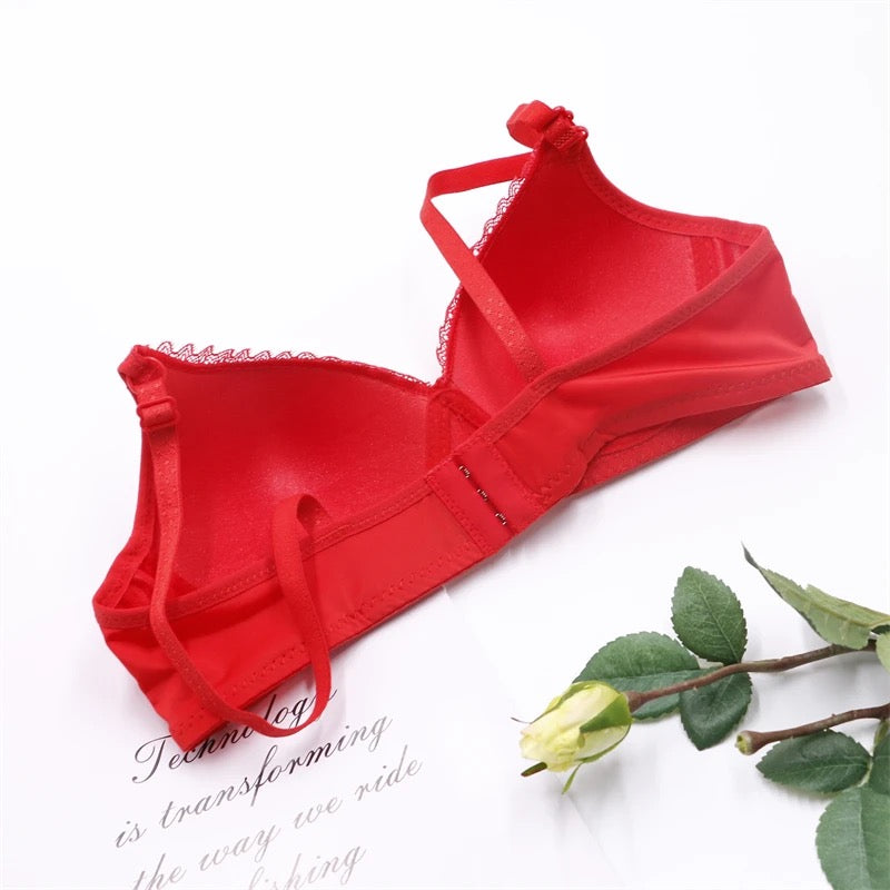 Netdesign Bra Net Bra Soft Padded Wire Free – Intimate Lingerie