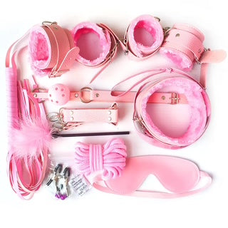 Collection of pink and clear accessories including a leash, collar, and blindfold on a white background.