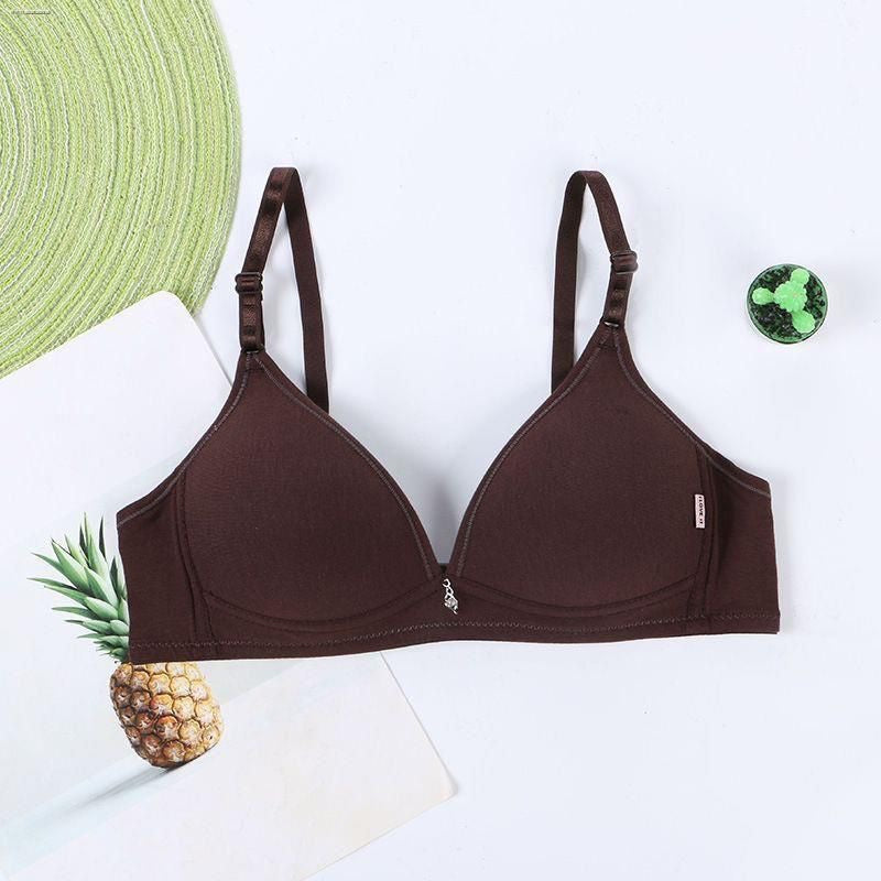 Daily Wear Cotton Soft Padded T-Shirt Bra